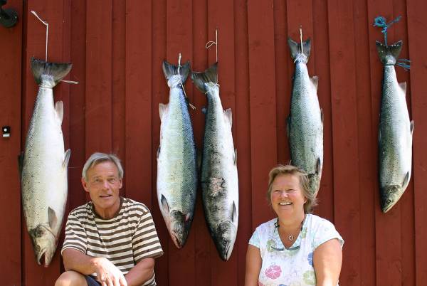 Eventyrlig laksefangst i Haukåshølen i Orkla!