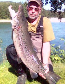 Denne sjøørreten i Saltdalselva var en laks!