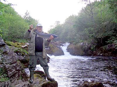 Det er deilig å være dansk i Norge!