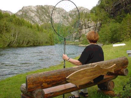 Laksefiske som smøring!