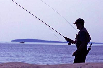 Oslofjorden koker av sjøørret!