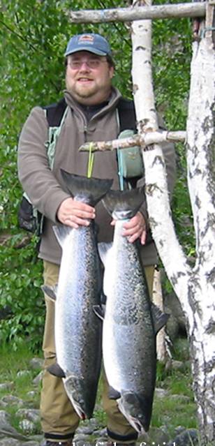 Flott laksestart i Otra: 25 laks på 2 døgn!