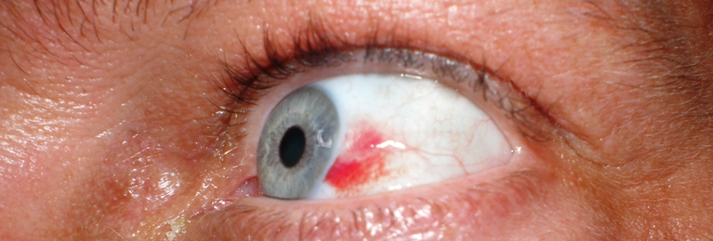 Årets første havabbor og hornjel tatt på flue på Jeløya