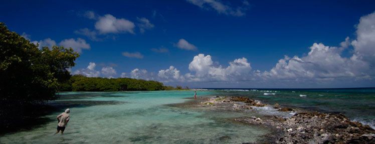 Fluefiskerens feriedrøm ligger bare ett tastetrykk unna!