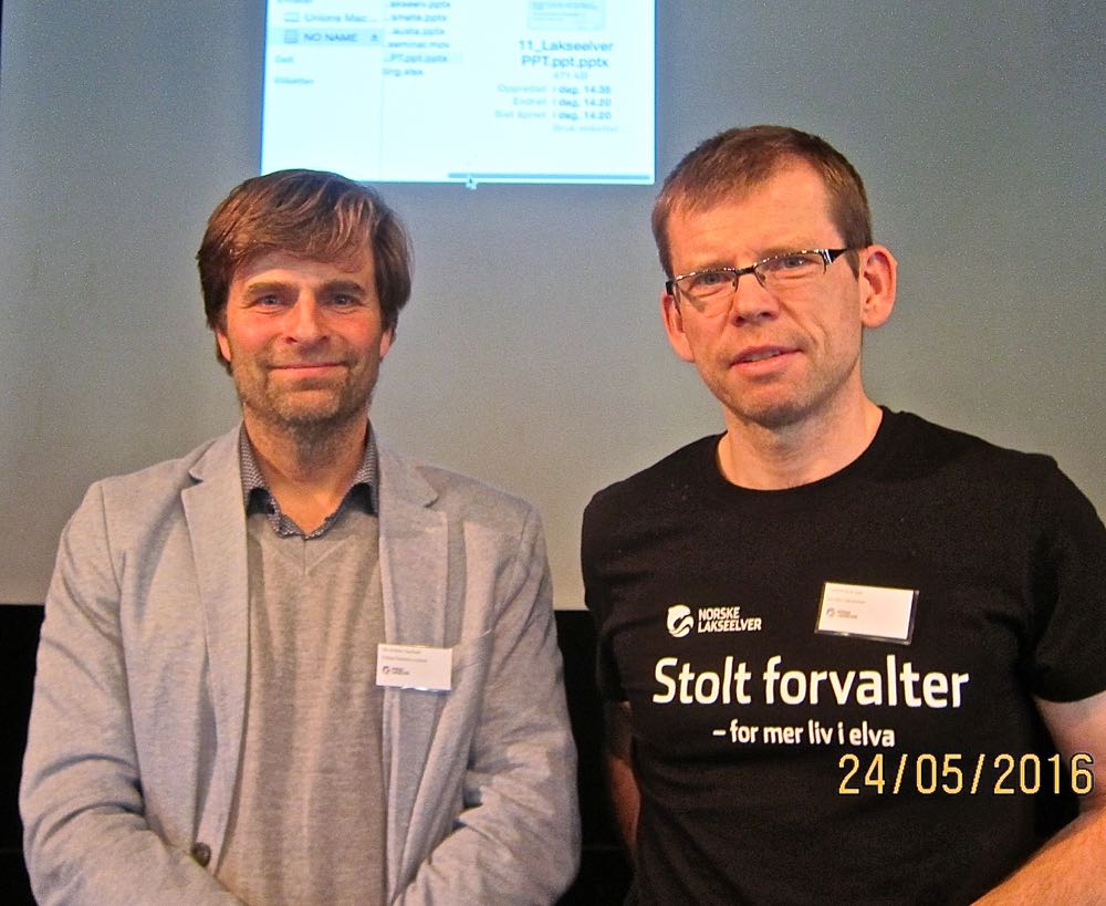 - Miljøforvaltningen kan beskytte villaksen bedre!