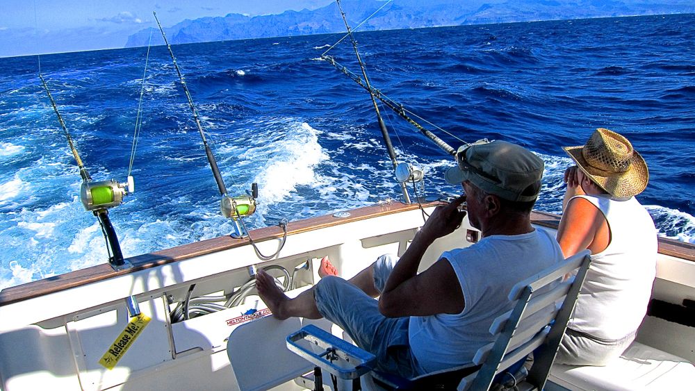 Garantert sol, men ingen fangst ved trollingfiske