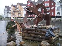 Slik ble Gyrordatylus Salaris innført til elvene våre