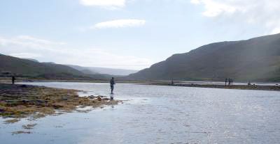 Matauk-fisket i Risfjordelva kan bli stoppet!