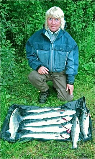 Eventyrlig sjøørret- og sjørøyefiske i Salangselva