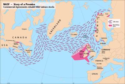  NASF: Her må vi kjøpe ut garn og kilenøtene!