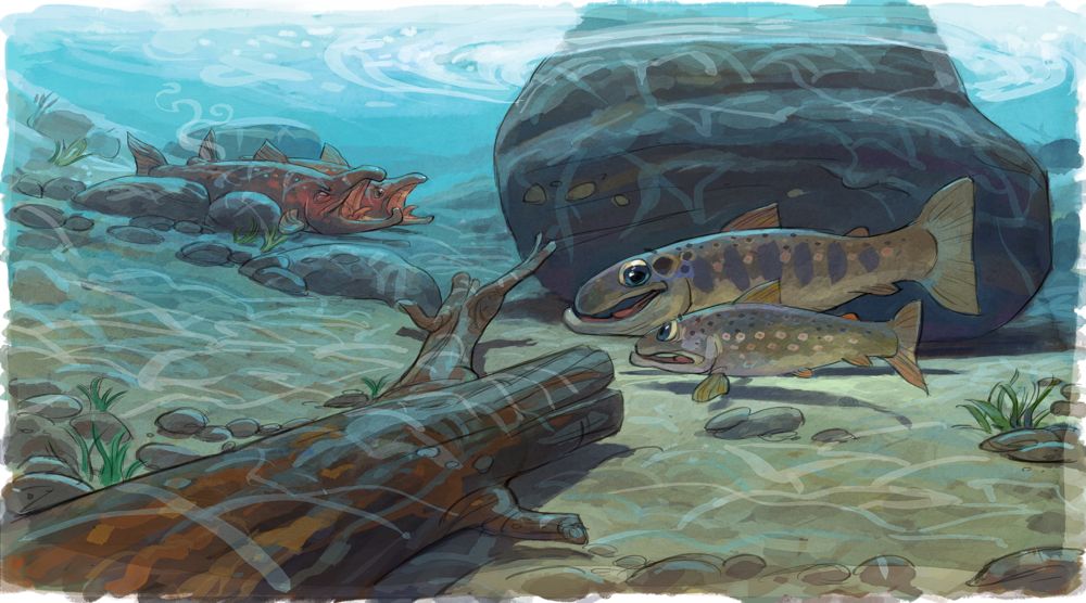 Boka om Villaksens eventyrlige ferd bør inn i skolene