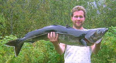 Den største seien jeg har sett!