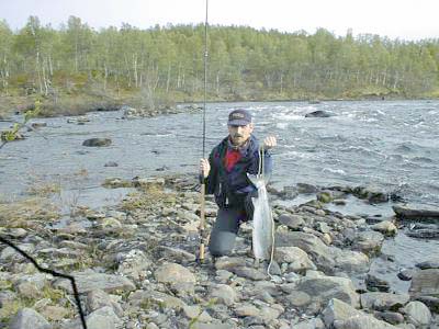 Sjøørreten overtar Lakselva på Senja!