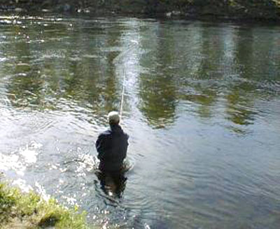 Lakselva i Senja må skjerpe seg!