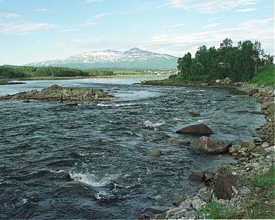 Kutt i fisketid i Lakselva på Senja 2012