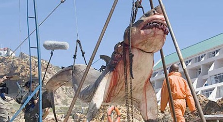 15 tonns førhistorisk hai fanget på kysten av Pakistan!