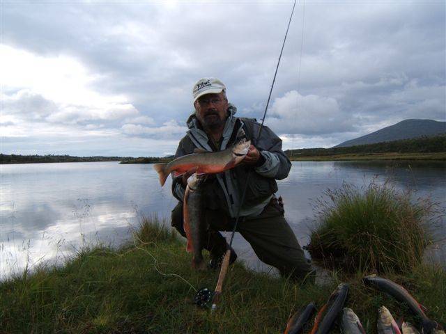 Trofe-røya finner du i Femundmarka!