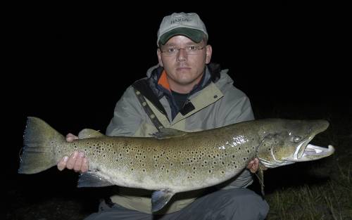 Skjoma stengt for fiske p.g.a. vann-gjerrige regulanter