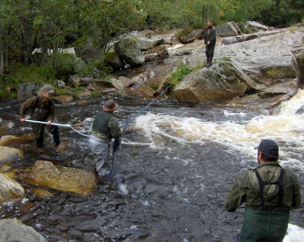 Inn i hundedagene med mer godvær og dårlig fiskebett!