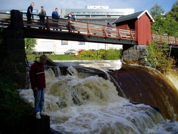 Oslo-elever forvalter sin egen lakseelv!