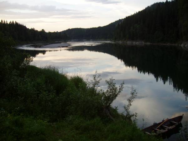 Rotenonbehandlingen i Vefsna utsatt