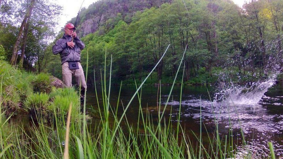 - Aldri har jeg sett så mye laks i Audna!
