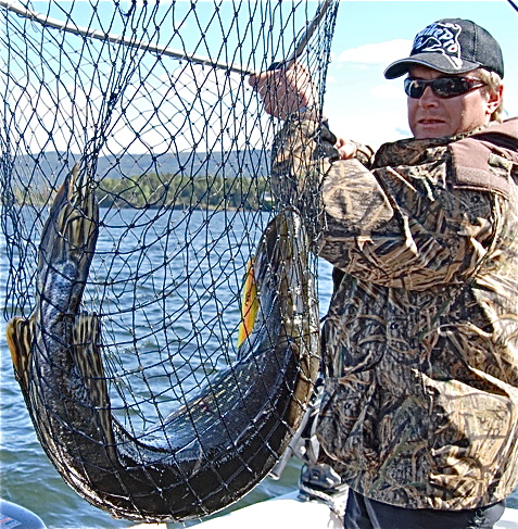 Nye 25 tilfeller av ulovlig spredning av fiskearter!