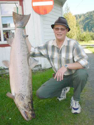 -Vekk med kilenøtene!