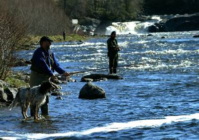 I natt åpnes de første lakselvene!