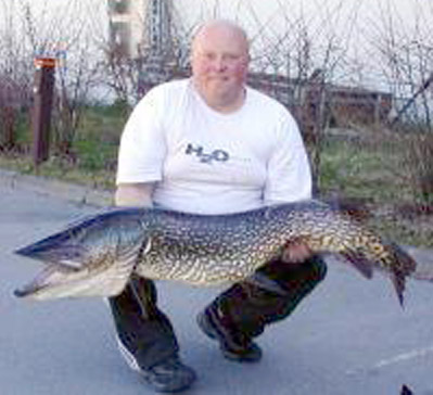 Storgjedde-orgie i Steinsfjorden!