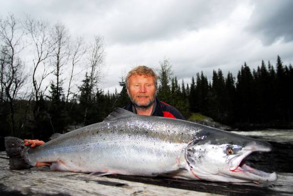 Mye og stor laks på gang foran fiskestart 1.juni!