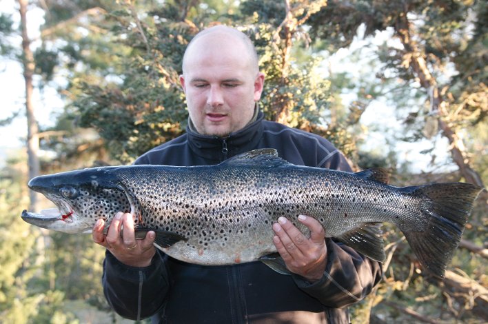 Jakten på storørret i Tyrifjorden og Mjøsa er i gang!