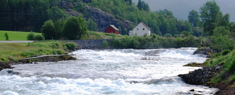 Laksefangst trass i flomstore Nordfjord-elver