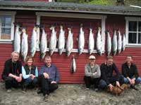Storlaksen tilbake i Suldalslågen!