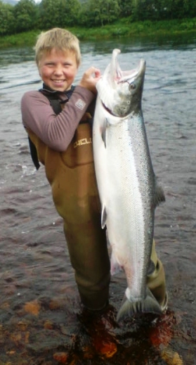 Slå alarm hvis du får virussmittet villaks!