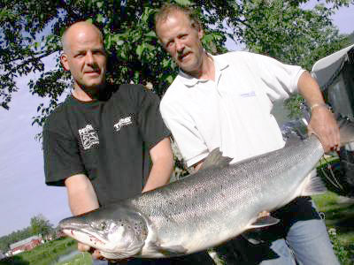 Kjempelaks og full sommer i Surna!