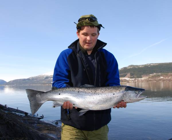 Lurte sjøørreten med sin egen fiskemetode!