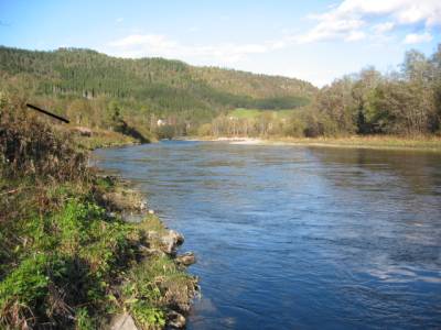 Statkraft får kjempebot etter laksedød i Surna!