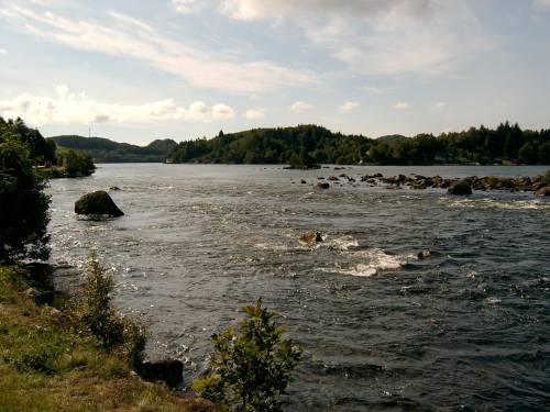Kjempegod smålakselv med fritt fiske i elveosen!