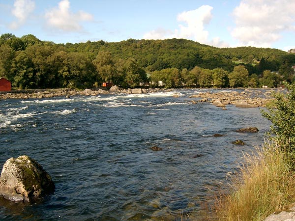 Mer enn 11 tonn laks tatt i Bjerkreimselva!