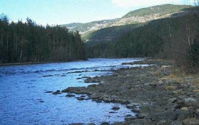 Tinnsjø-regulantens frekkis avslørt av NVE og OED!