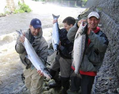 Ingen reduksjon i laksefisket i Østfold-elvene i 2011