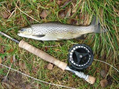 Tromsøværinger dømt for ulovlig fluefiske!