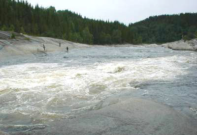 Lakseleik i Tømmeråsfossen!