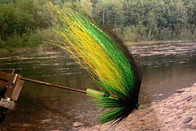 Her er favoritt-fluene for Gaula-laksen  akkurat nå!