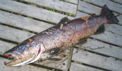 Velkommen til Tunhovd!