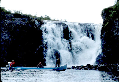 Bjørnøy:Makspris på jakt og fiske kan bli aktuelt!