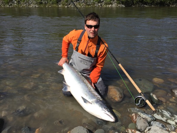 Kjempelaks på 23,1 kilo landet på Kvål i Gaula
