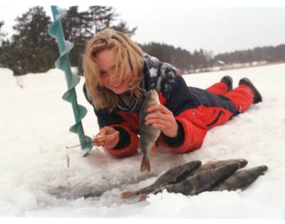 Vansjø skal renses!