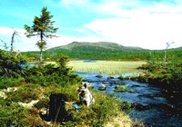 Tilbud om nye fiskeplasser og hytter for folk flest